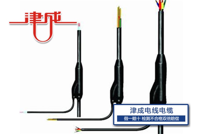 分支電纜